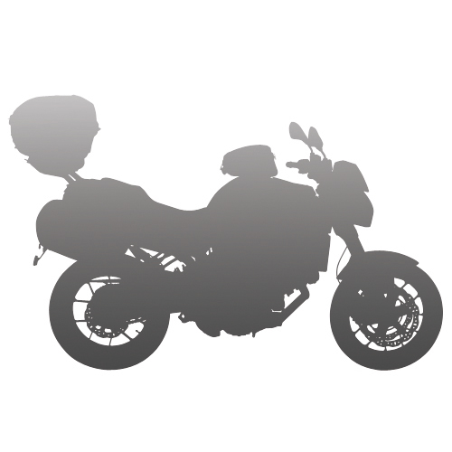LAMPPE Motorrad Fußstützen Pedale Für Forza350 Forza 350 NSS 350 2018-2023  2021 Motorrad Zubehör Fußstütze Trittbrett Schritt Fußpolster Pedal Platte  Fußrasten (Color : Titan) : : Auto & Motorrad